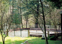 Click for larger image of this custom-built roundpen